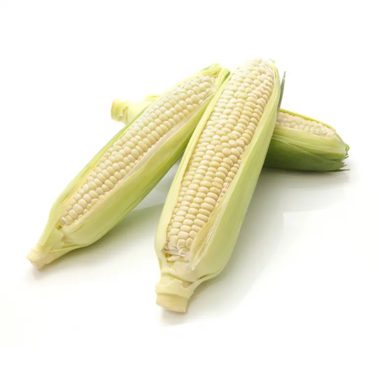 White Maize