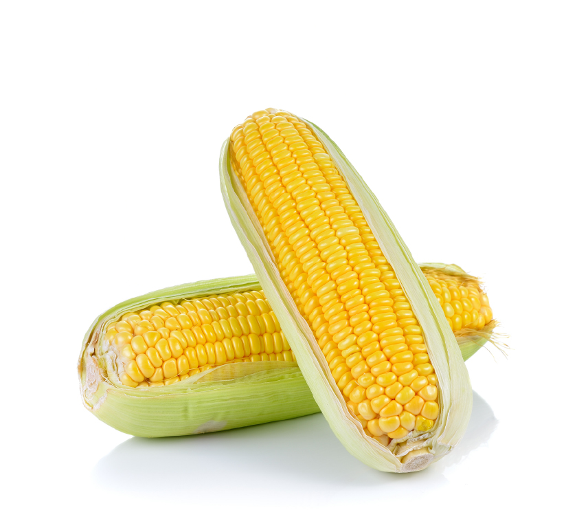 Yellow Corn